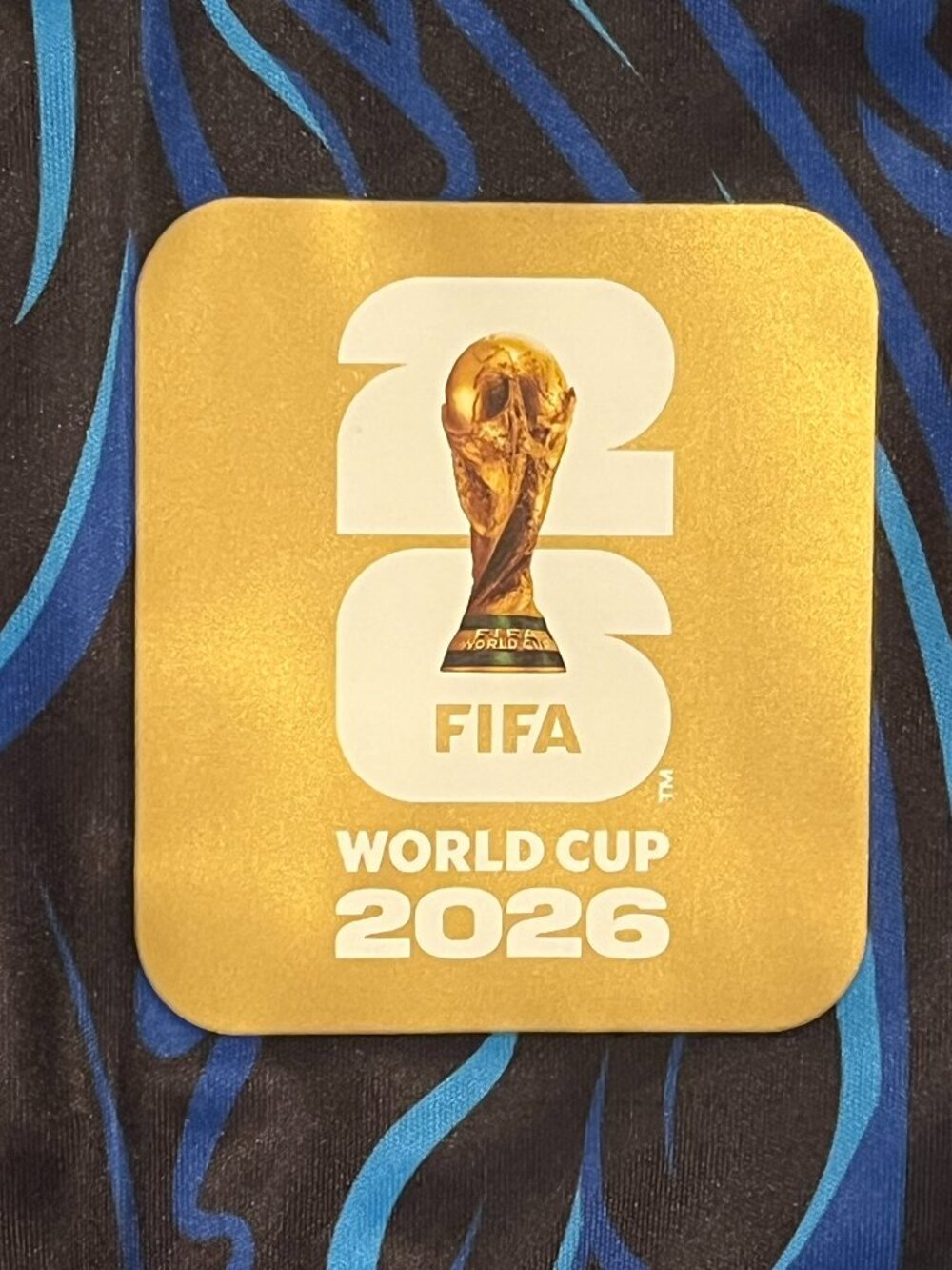 Lionel Messi #10 Argentina 2026 World Cup Away Jersey All Patches Men's Sizes - Picture 2 of 6